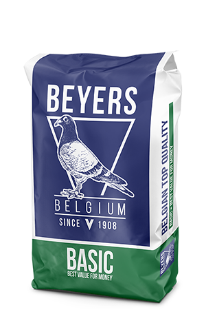 Beyers Belgium Basic